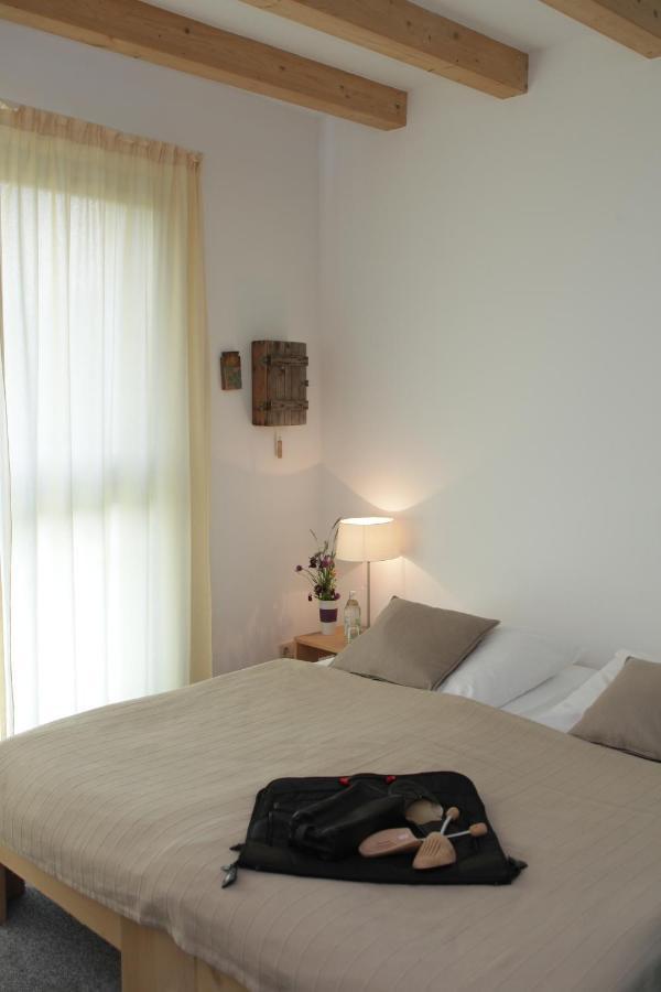 Alanus Gastehaus Otel Alfter Dış mekan fotoğraf