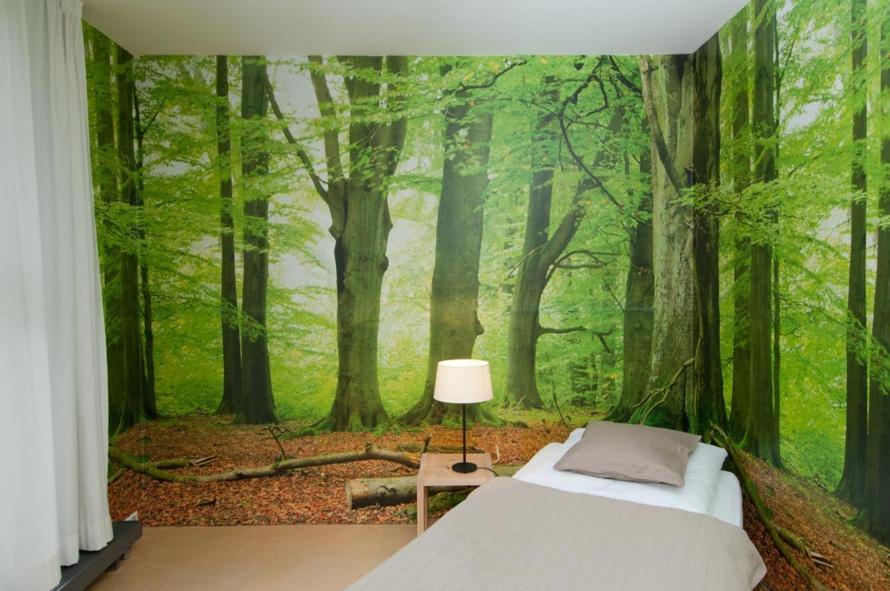 Alanus Gastehaus Otel Alfter Dış mekan fotoğraf